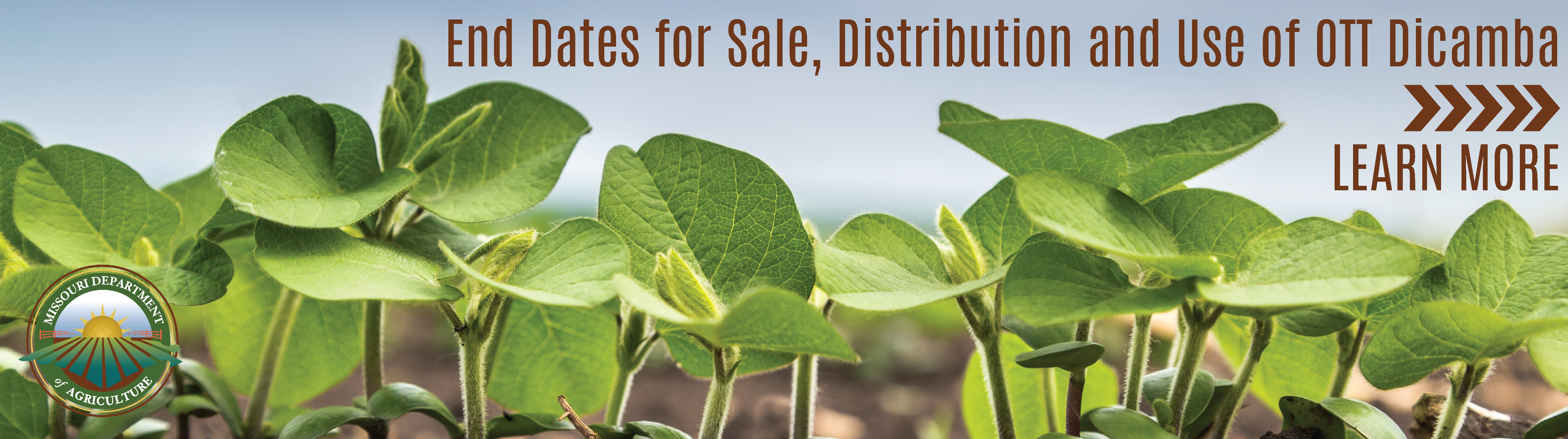 End Dates for Sale, Distribution and Use of OTT Dicamba