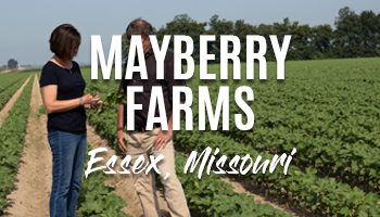 Mayberry Farms