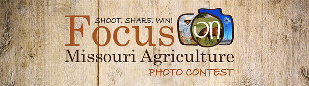 Focus on Missouri Agriculture Photo Contest