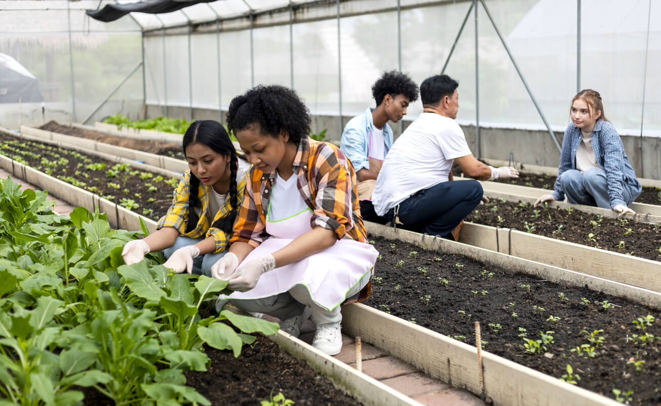 farm to school program (Gardening)