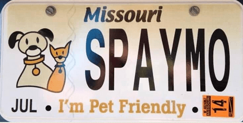 spay & nueter license plate