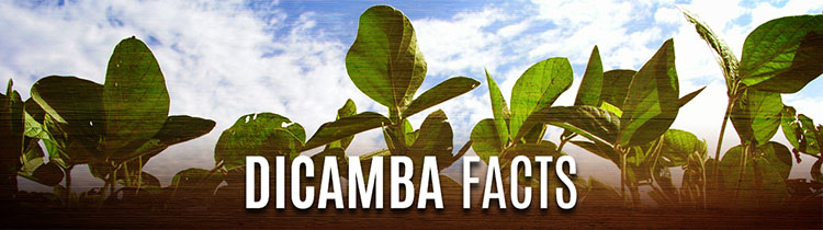 Dicamba Facts image