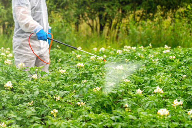 Professional Pesticide Sprayer Employee