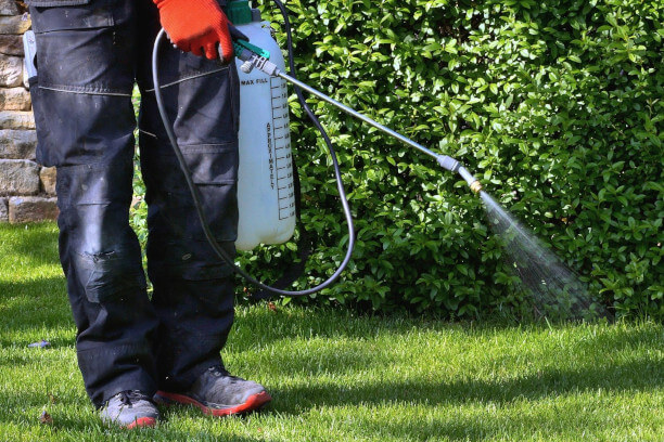 Person in blue jeans and tennis shoes spraying