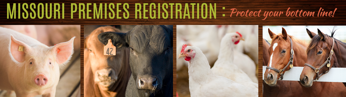 Missouri Premises Registration: Protect your bottom line!